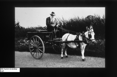 Bill Humm and donkey cart