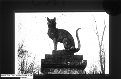 Stone Cat Auberies entrance069