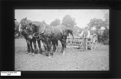 Horses and seed drill 1907
