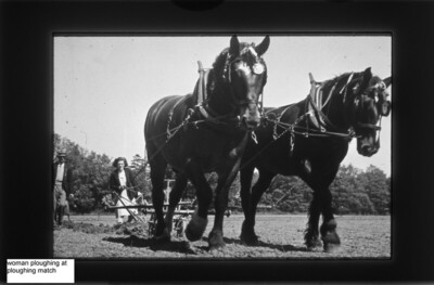 Woman at ploughing match