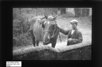 Fred Felton at Auberies Fm065