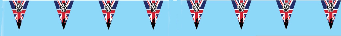 VE Banner2