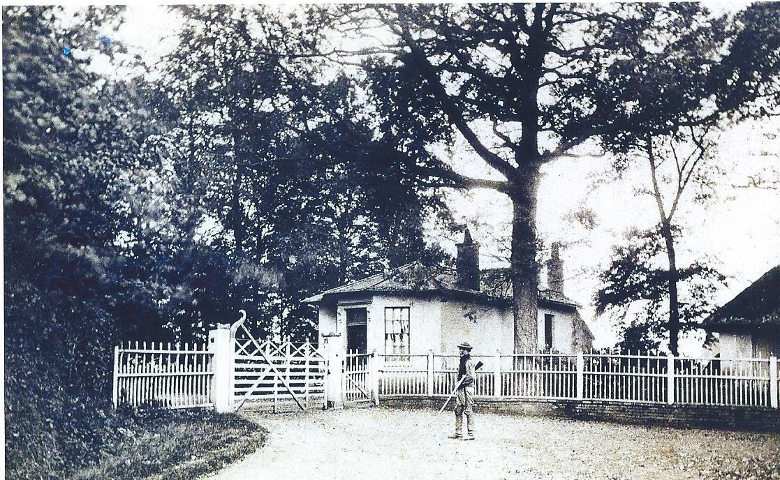 Back Lodge